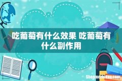 吃葡萄有什么效果 吃葡萄有什么副作用