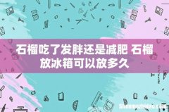 石榴吃了发胖还是减肥 石榴放冰箱可以放多久
