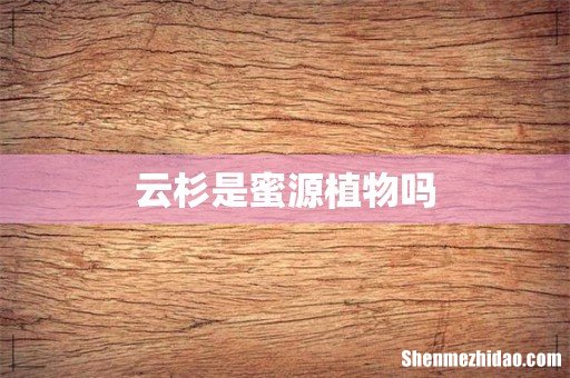 云杉是蜜源植物吗