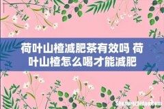 荷叶山楂减肥茶有效吗 荷叶山楂怎么喝才能减肥