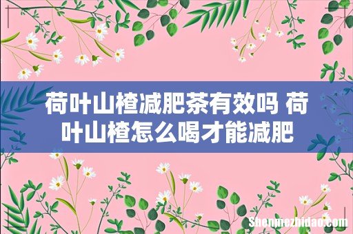 荷叶山楂减肥茶有效吗 荷叶山楂怎么喝才能减肥