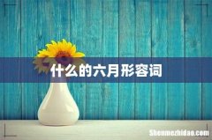 什么的六月形容词