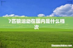 7匹狼运动在国内是什么档次