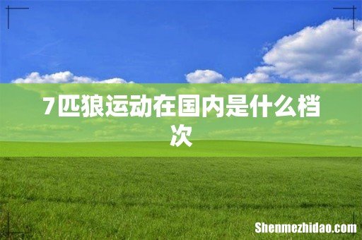 7匹狼运动在国内是什么档次
