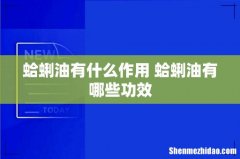 蛤蜊油有什么作用 蛤蜊油有哪些功效