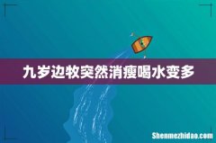 九岁边牧突然消瘦喝水变多