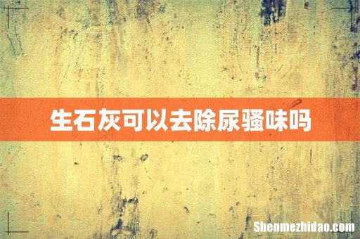 生石灰可以去除尿骚味吗