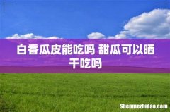 白香瓜皮能吃吗 甜瓜可以晒干吃吗