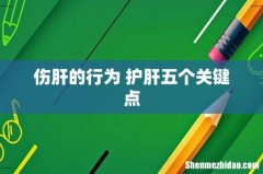 伤肝的行为 护肝五个关键点