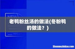 冬粉鸭的做法？ 老鸭粉丝汤的做法