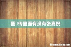 甄嬛传里面有没有张嘉倪