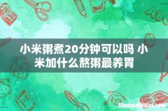 小米粥煮20分钟可以吗 小米加什么熬粥最养胃