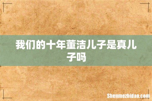 我们的十年董洁儿子是真儿子吗