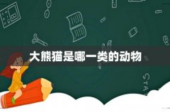 大熊猫是哪一类的动物