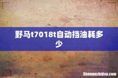 野马t7018t自动挡油耗多少