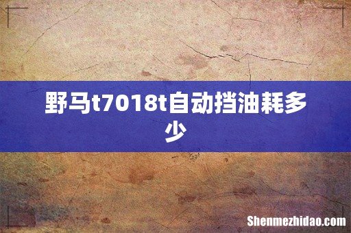 野马t7018t自动挡油耗多少