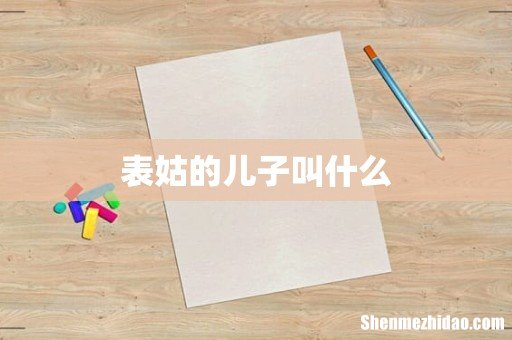 表姑的儿子叫什么