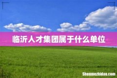 临沂人才集团属于什么单位