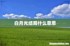 白月光结局什么意思