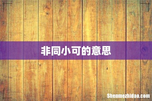 非同小可的意思