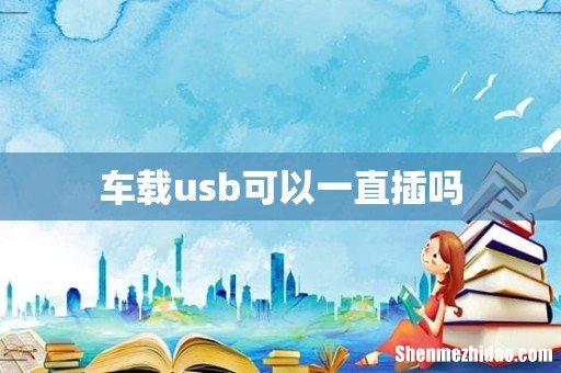 车载usb可以一直插吗