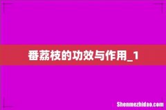 番荔枝的功效与作用_1