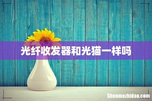 光纤收发器和光猫一样吗