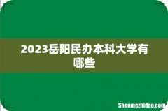 2023岳阳民办本科大学有哪些