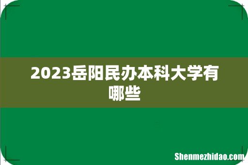 2023岳阳民办本科大学有哪些