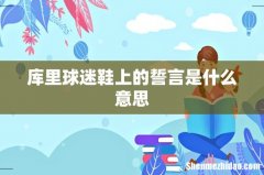 库里球迷鞋上的誓言是什么意思