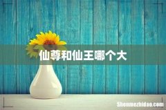 仙尊和仙王哪个大