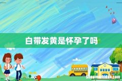 白带发黄是怀孕了吗
