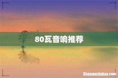 80瓦音响推荐