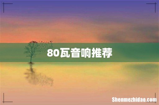80瓦音响推荐
