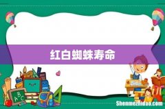 红白蜘蛛寿命