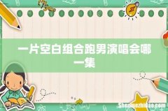 一片空白组合跑男演唱会哪一集