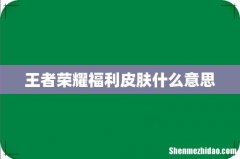 王者荣耀福利皮肤什么意思