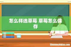 怎么样选草莓 草莓怎么保存