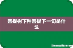 菩提树下种菩提下一句是什么