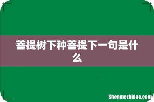 菩提树下种菩提下一句是什么
