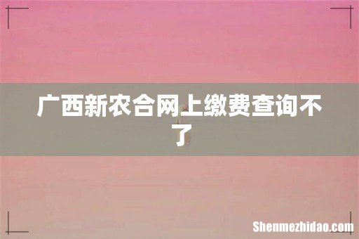 广西新农合网上缴费查询不了