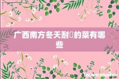 广西南方冬天耐?的菜有哪些