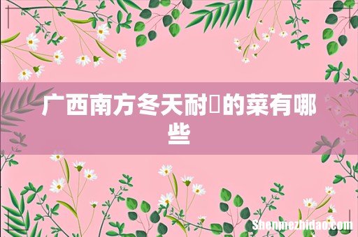 广西南方冬天耐?的菜有哪些