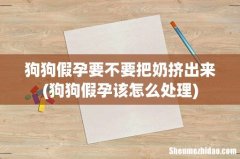 狗狗假孕该怎么处理 狗狗假孕要不要把奶挤出来