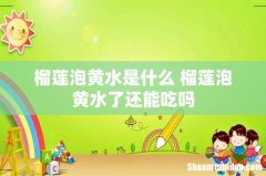 榴莲泡黄水是什么 榴莲泡黄水了还能吃吗