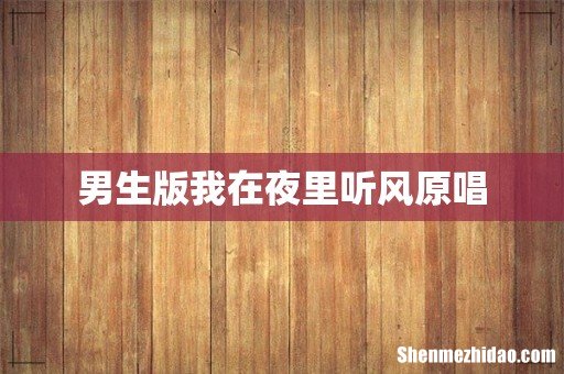 男生版我在夜里听风原唱