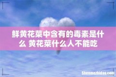 鲜黄花菜中含有的毒素是什么 黄花菜什么人不能吃