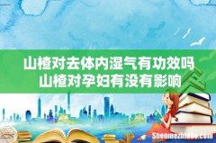 山楂对去体内湿气有功效吗 山楂对孕妇有没有影响