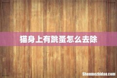 猫身上有跳蚤怎么去除