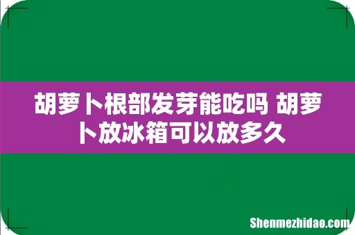 胡萝卜根部发芽能吃吗 胡萝卜放冰箱可以放多久
